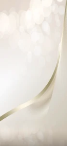 Mobile menu Background