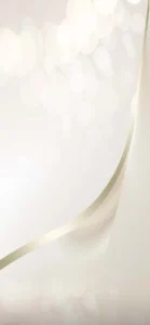 Mobile menu Background